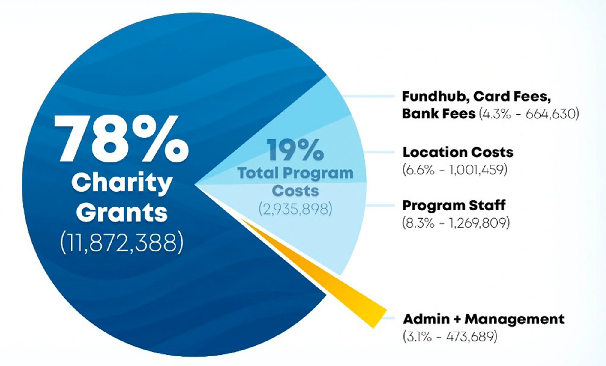 Financial Pie Chart